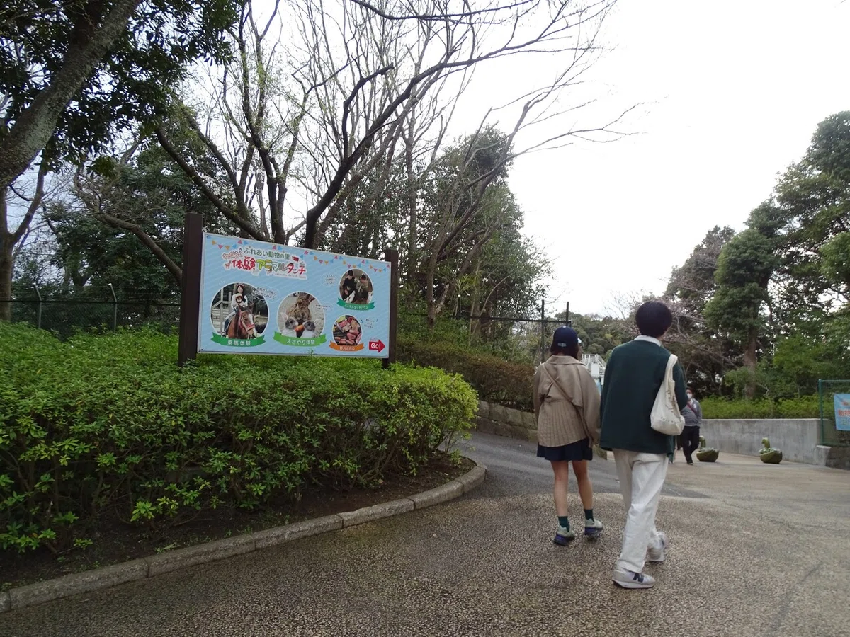 画像405