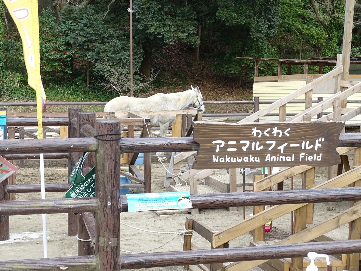 画像422