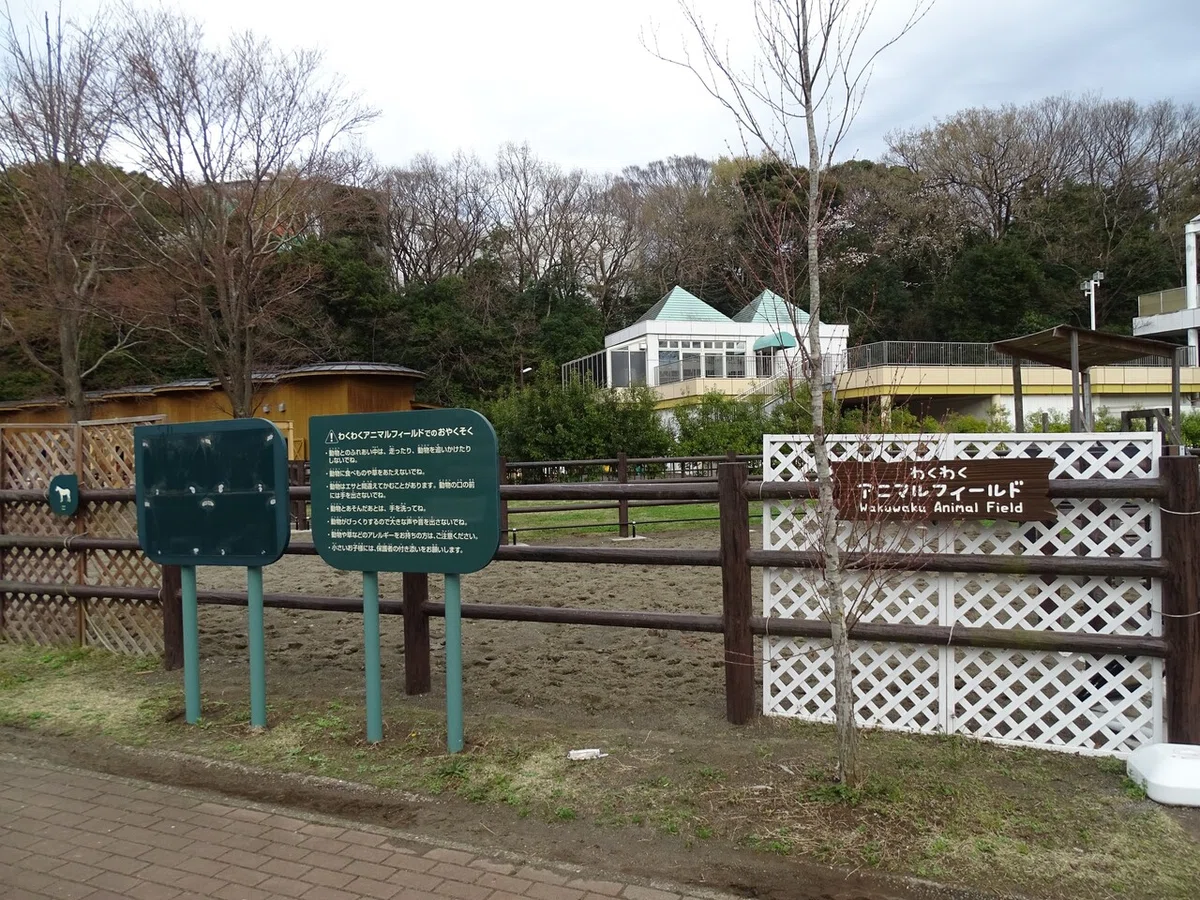 画像415
