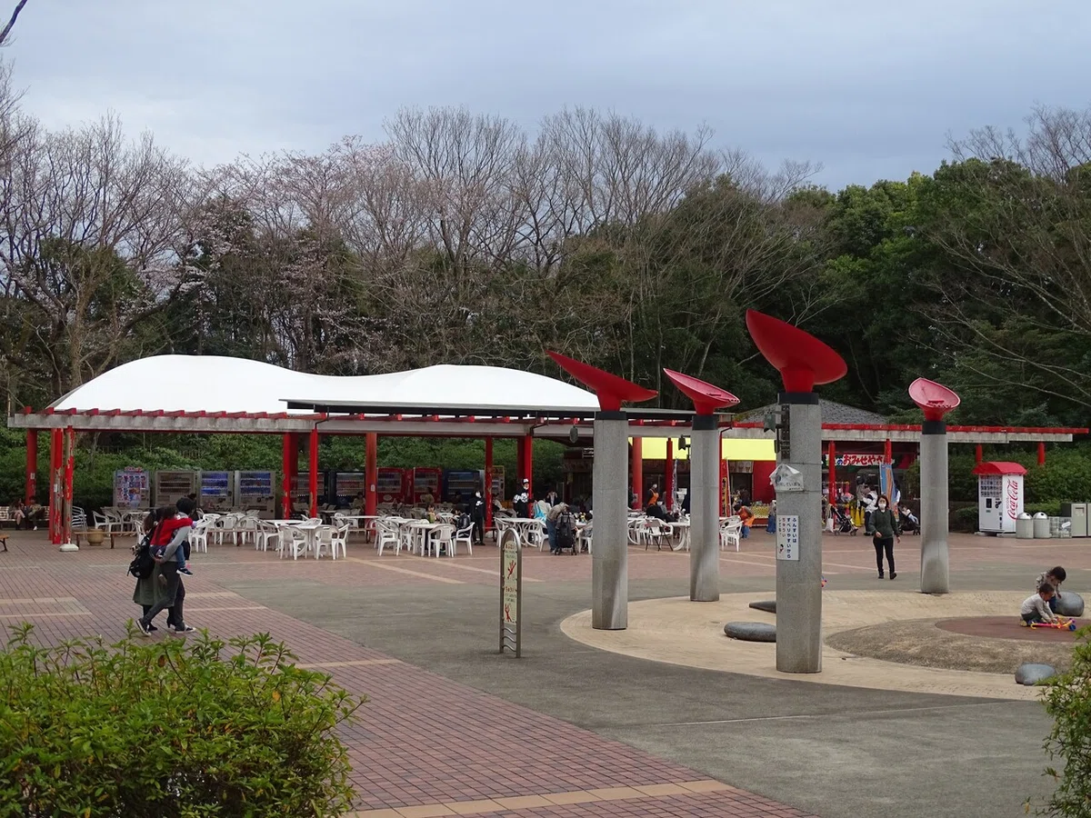 画像329
