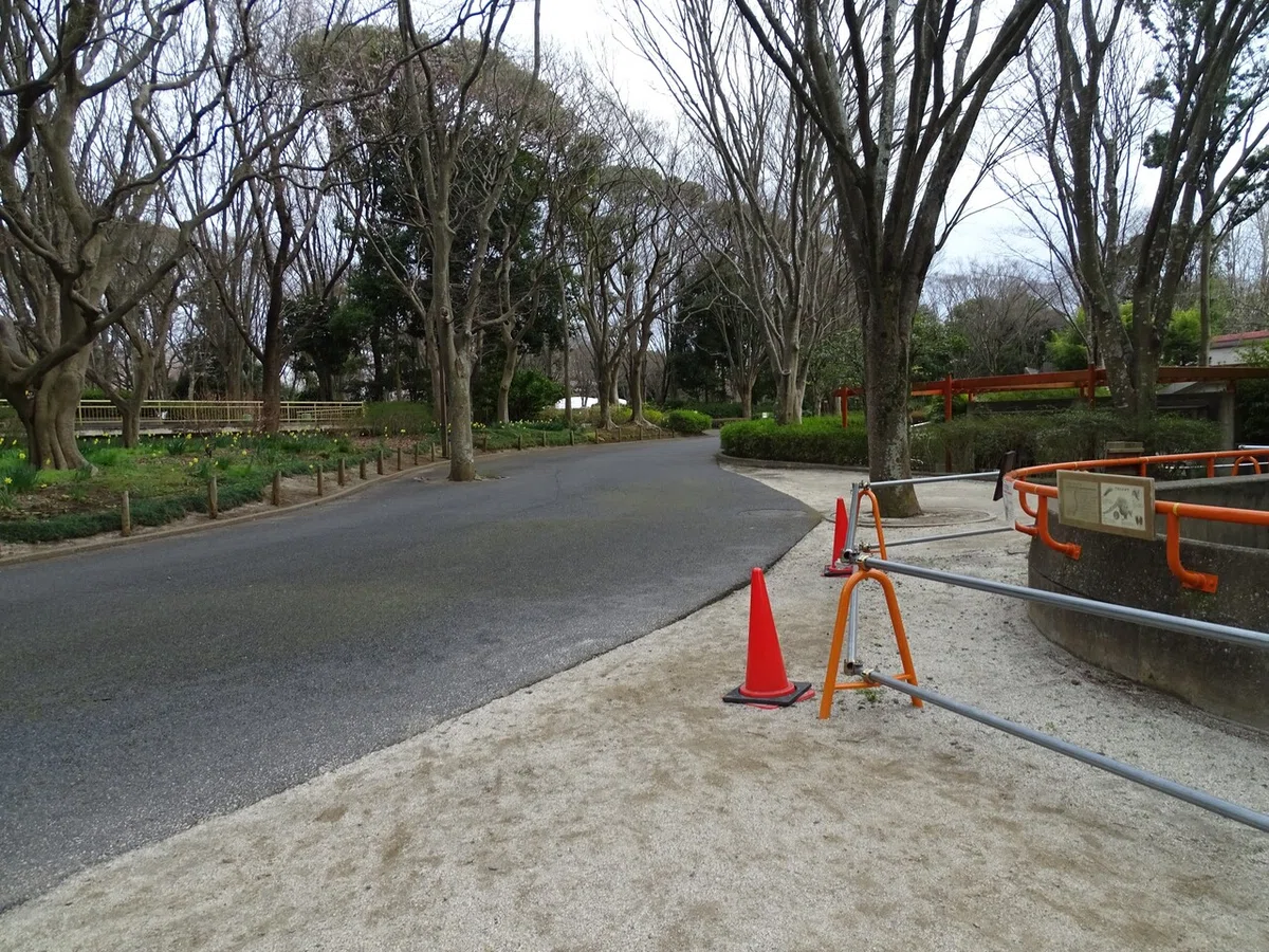 画像319