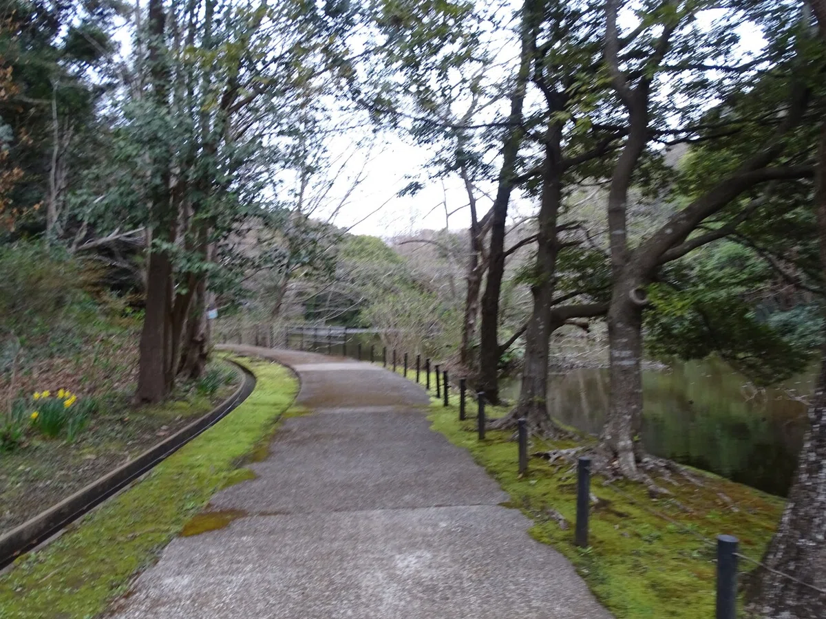 画像311