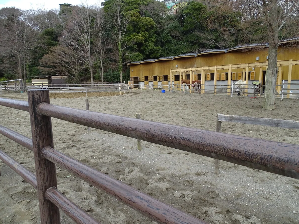 画像418