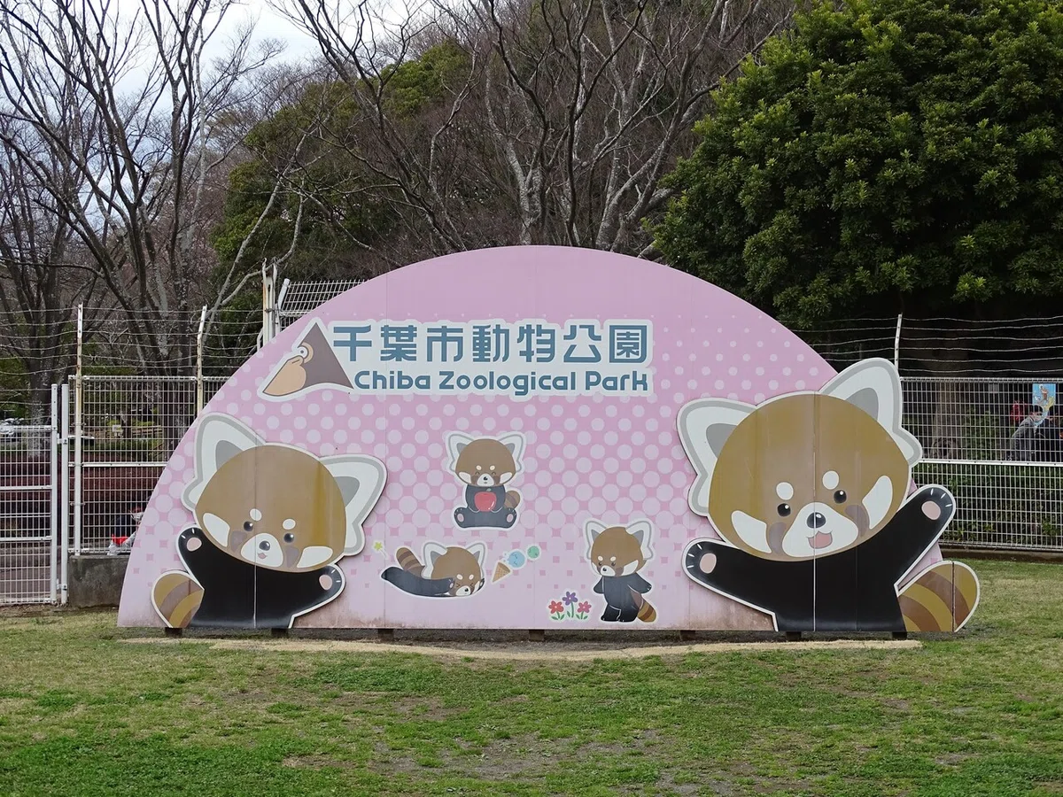 画像437