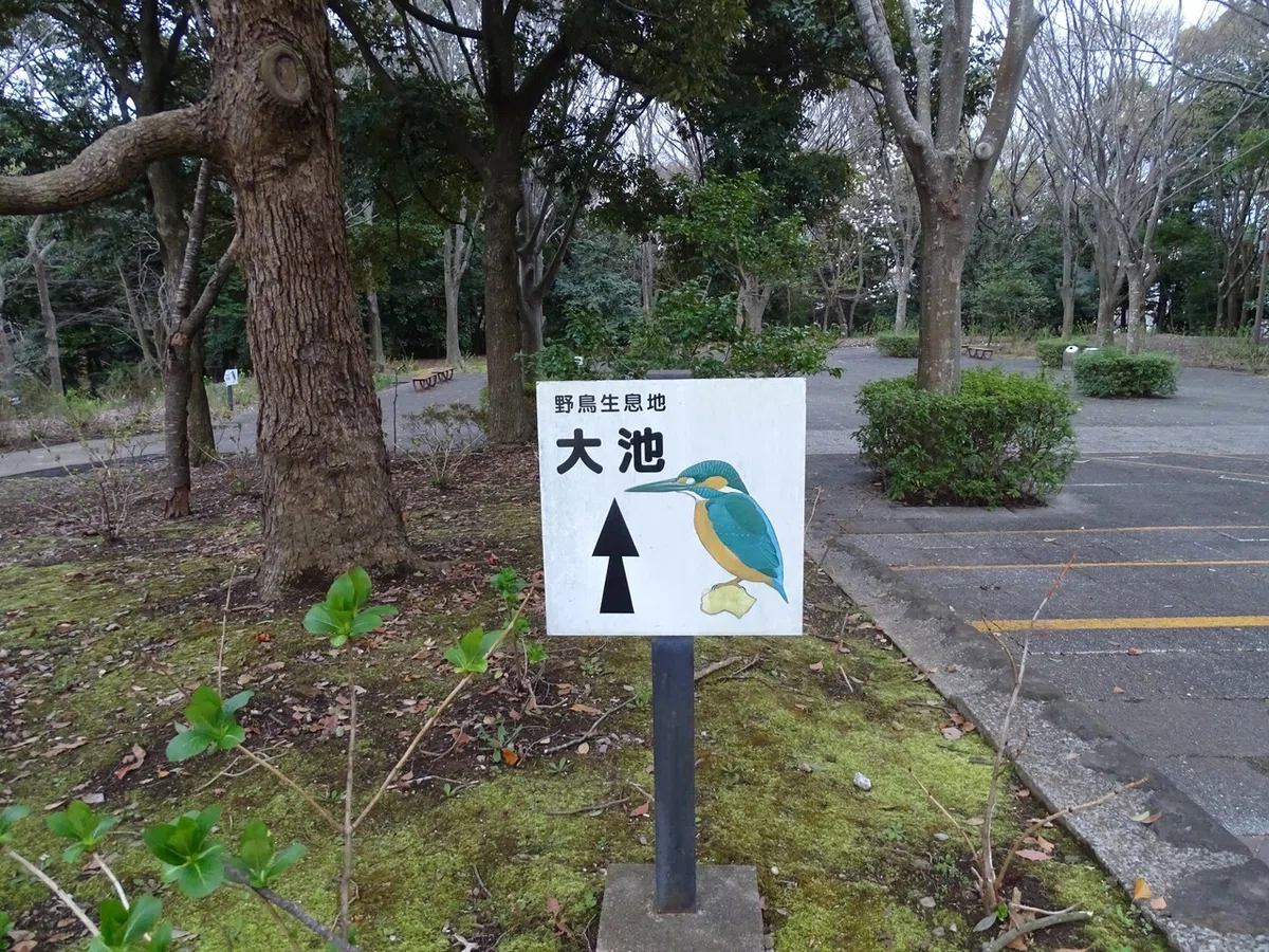 画像308