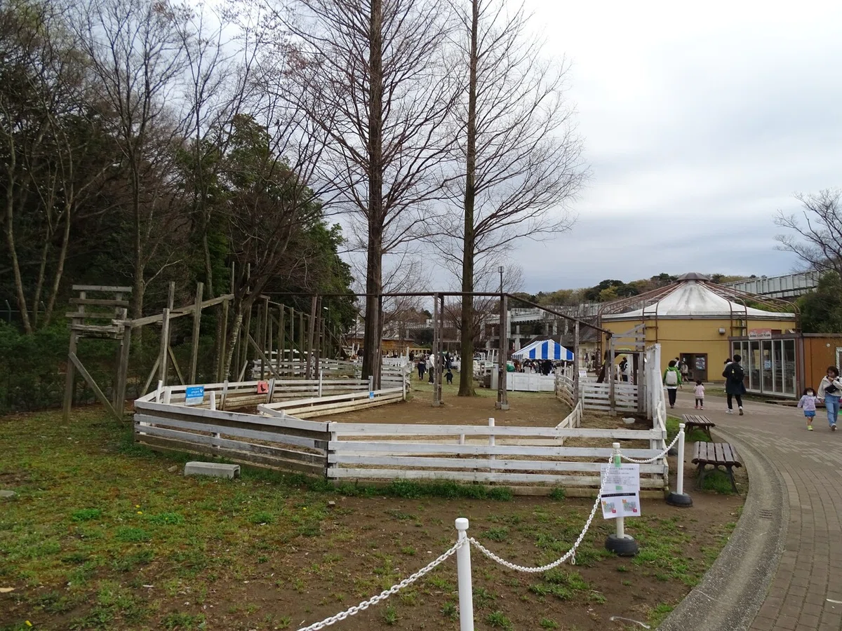 画像435