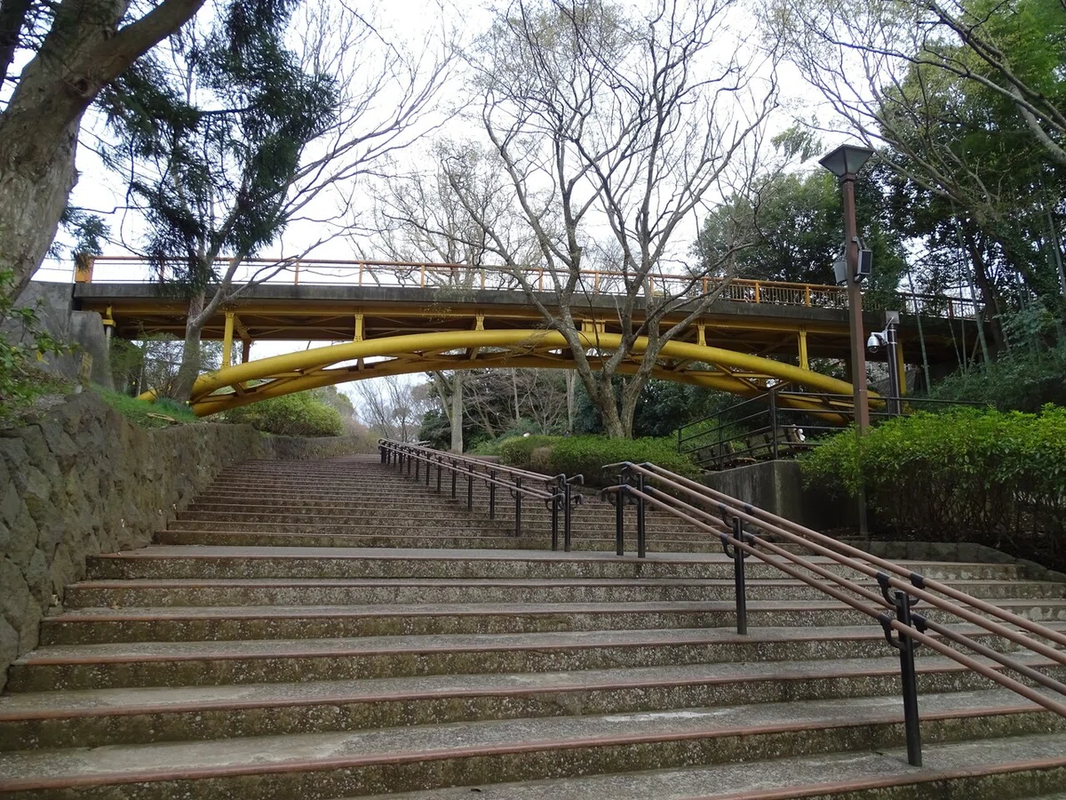 画像439