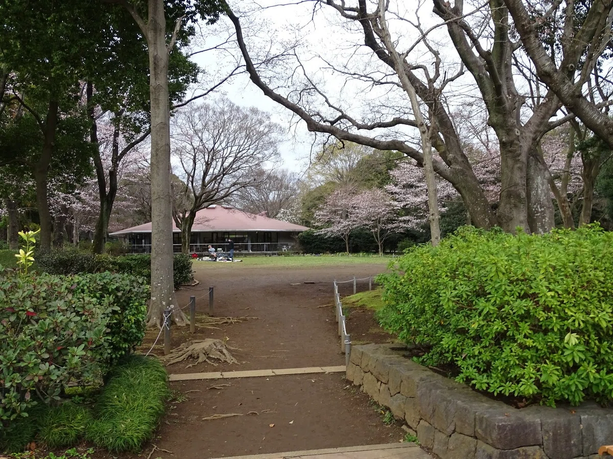 画像332