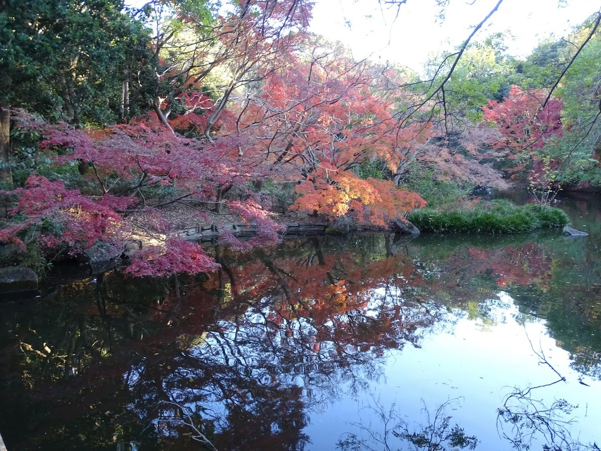 画像457
