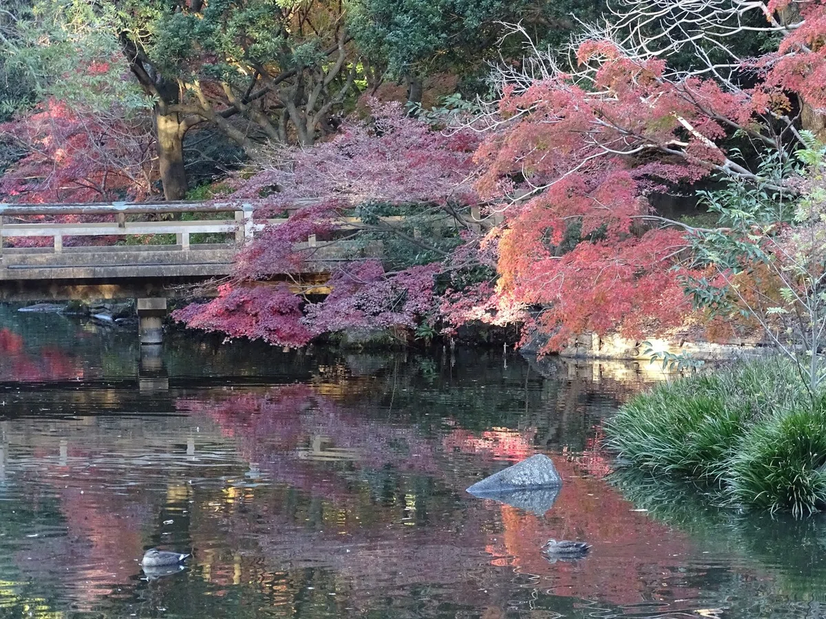画像454