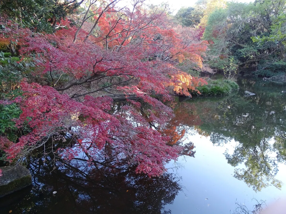 画像458