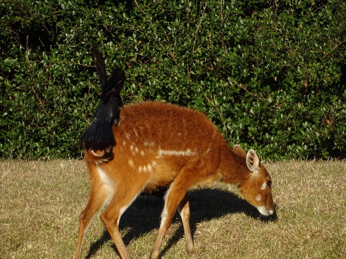 画像461