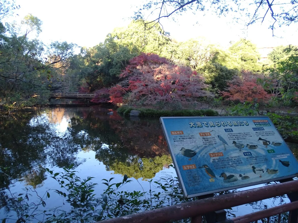 画像452