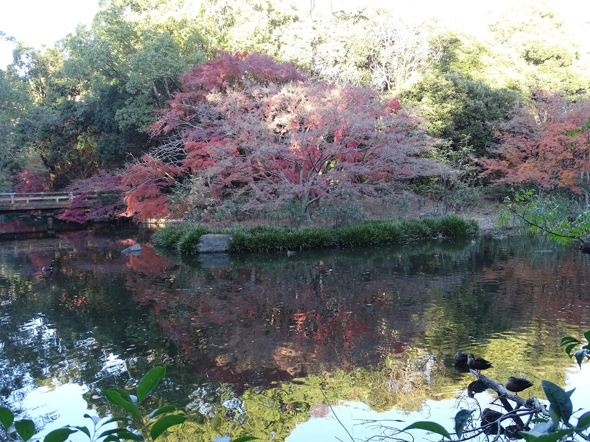 画像453