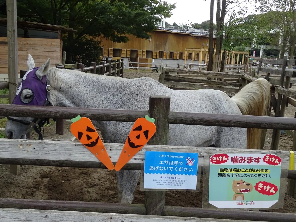 画像472