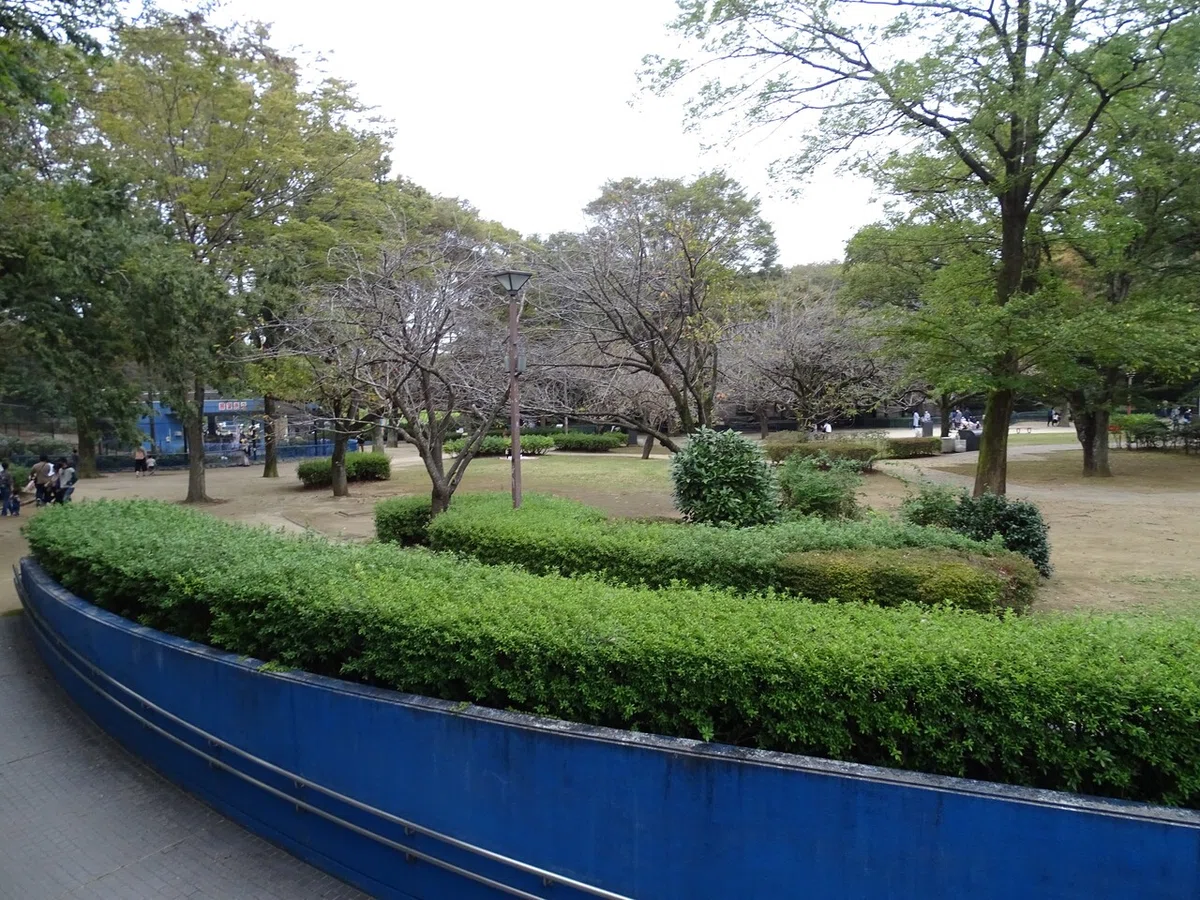 画像491