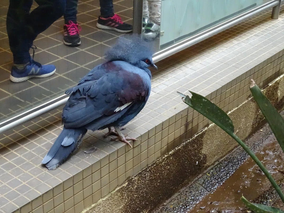画像494