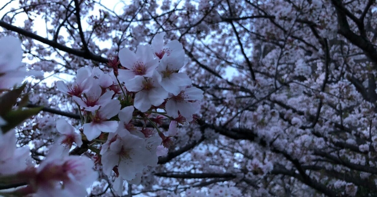 後妻打ちと髻切り