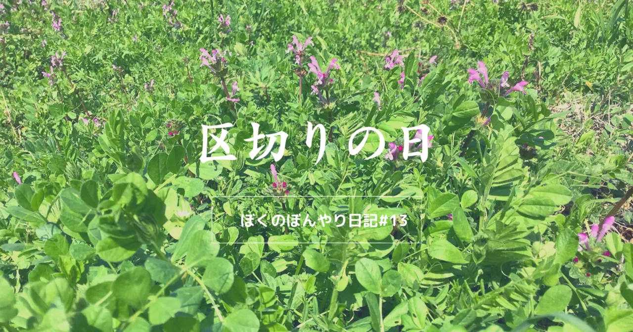 見出し画像