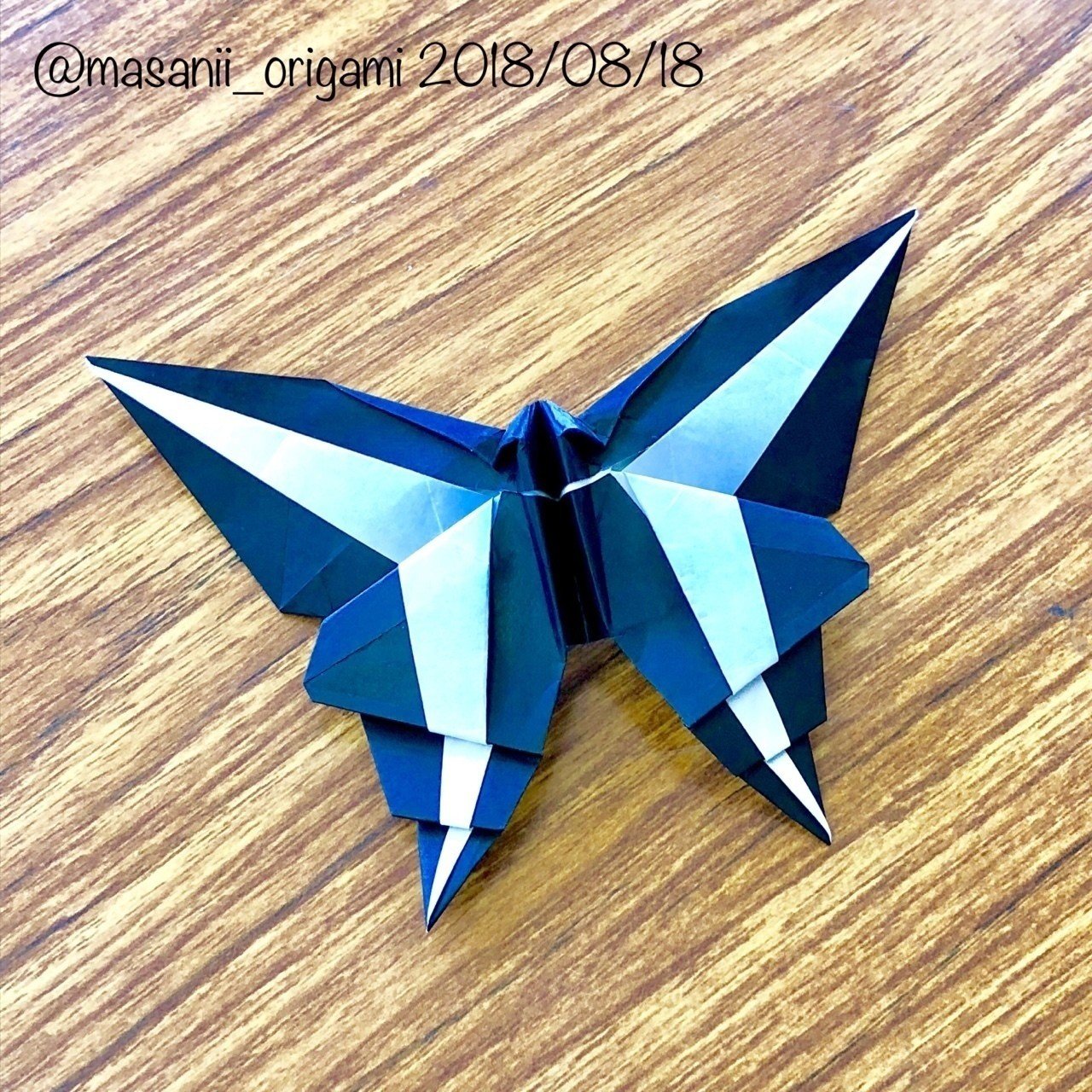 チョウ と 蛾 の違いはなに 折り紙のついでに まさにぃがサクッと解説 まさにぃ Note