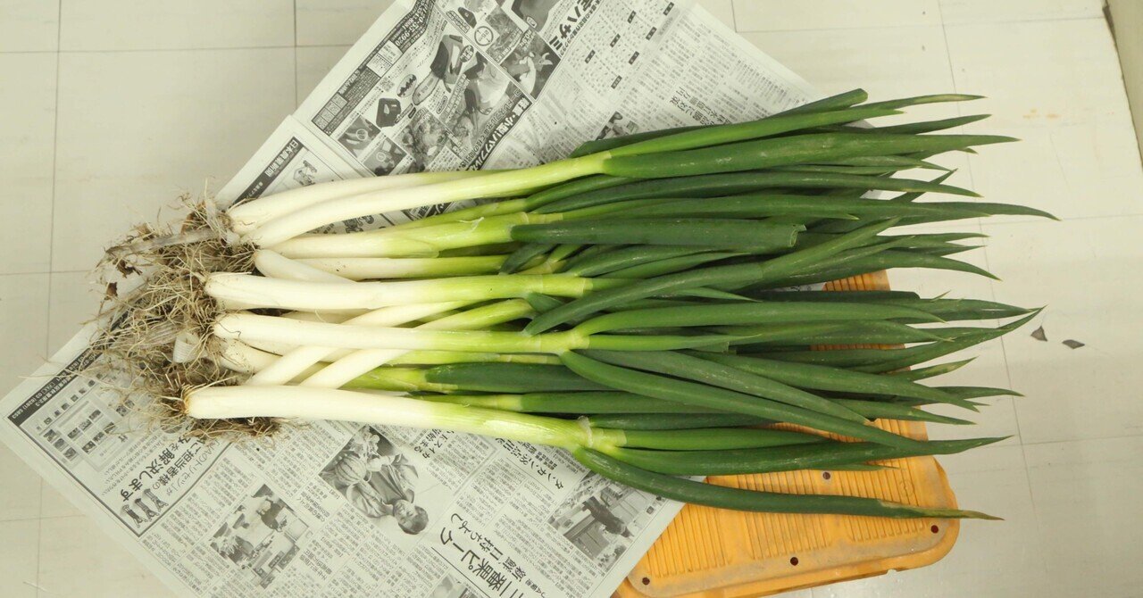 内田一樹の公開用ライン|内田かずきのホームページ