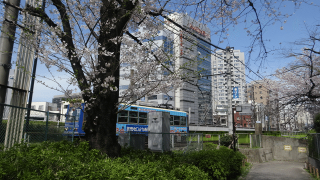 画像9