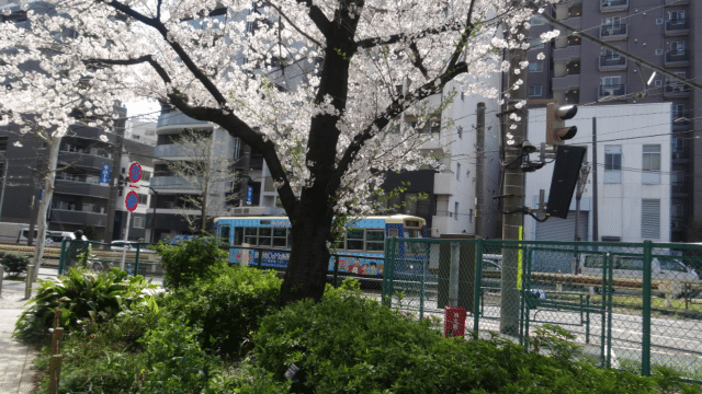 画像11