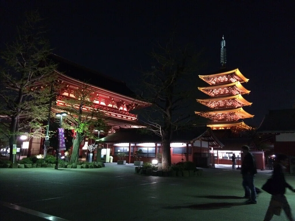 画像8