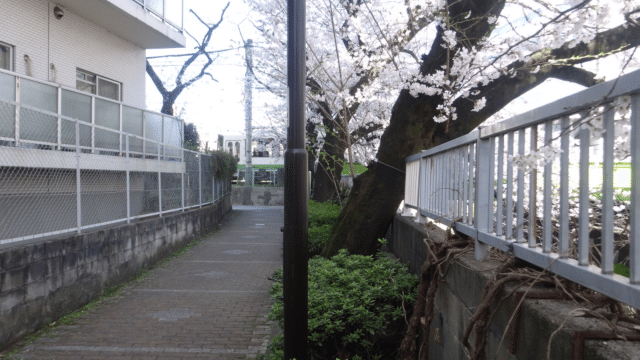 画像24