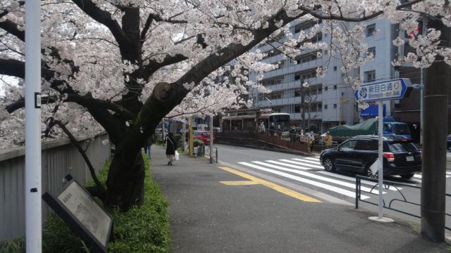 画像29