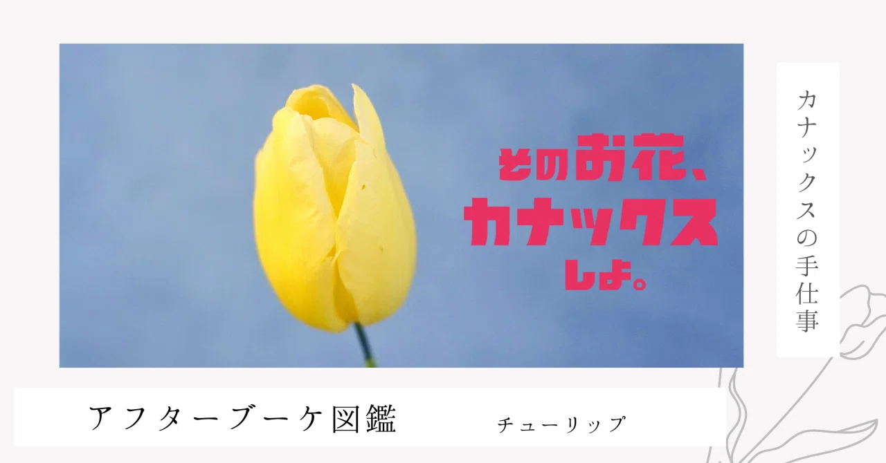 カシュ様専用ページ】チューリップ花束 勇まし