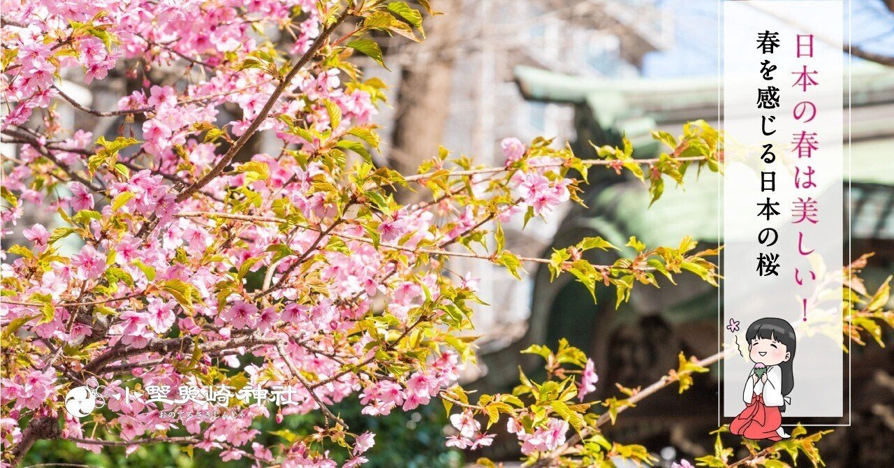 日本の春は美しい 春を感じる日本の桜 小野照崎神社 Note