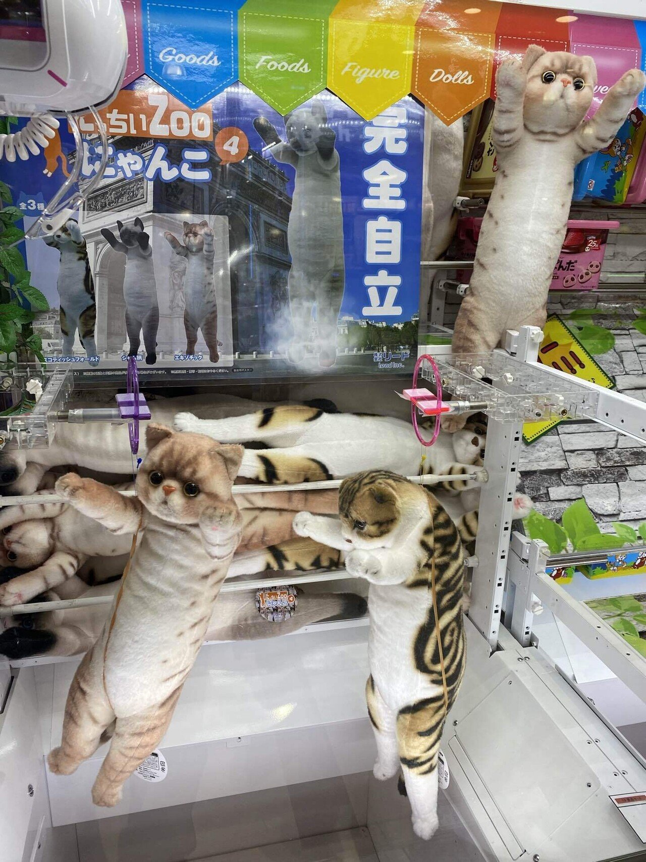 日記 リアルな猫のぬいぐるみ ソエジマケイタ キャラ 写真 似顔絵 Note
