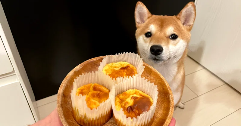 柴犬パンケーキ♡プレート 犬OK】低糖質さつまいもチーズケーキ