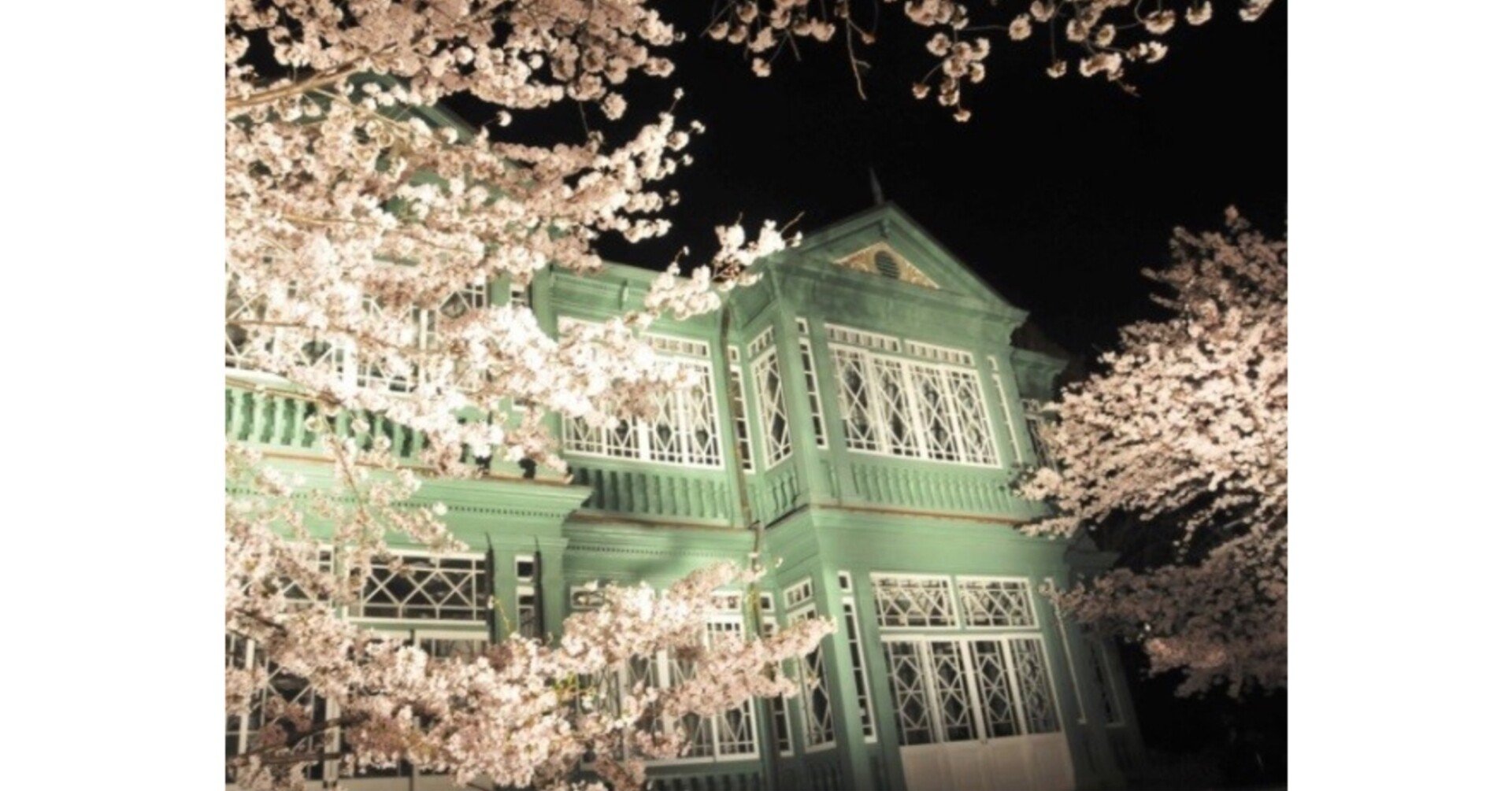 王子動物園 春休みのイベント 夜桜通り抜け 香川しんじ 西区選出 神戸志民党代表 Note 王子動物園 春休みのイベント 夜桜通り抜け 香川しんじ 西区選出 神戸志民党代表 Note