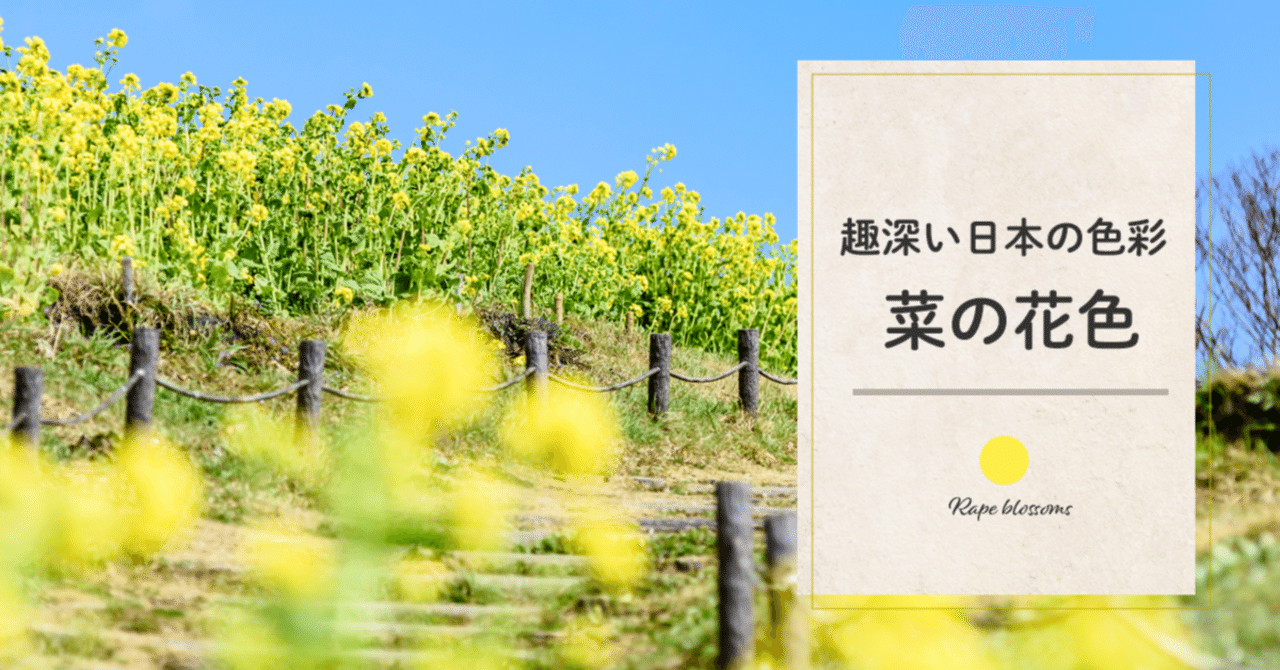 菜の花 春を彩る新潟県の菜の花スポット5選！｜旅の特集｜【公式】新潟県の