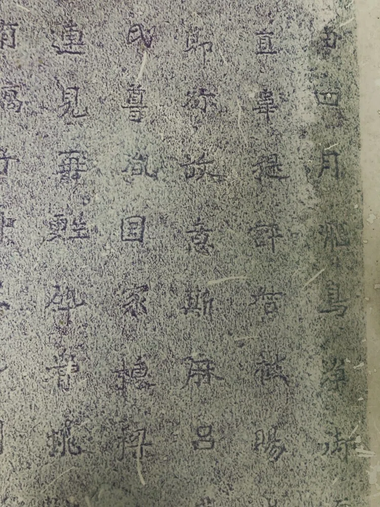 画像15