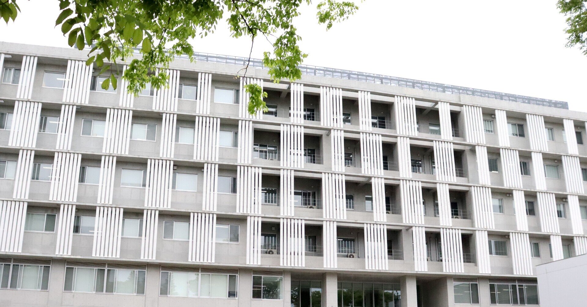 電気情報物理工学科のコース分け｜東北大学工学部 学生ナビゲーター