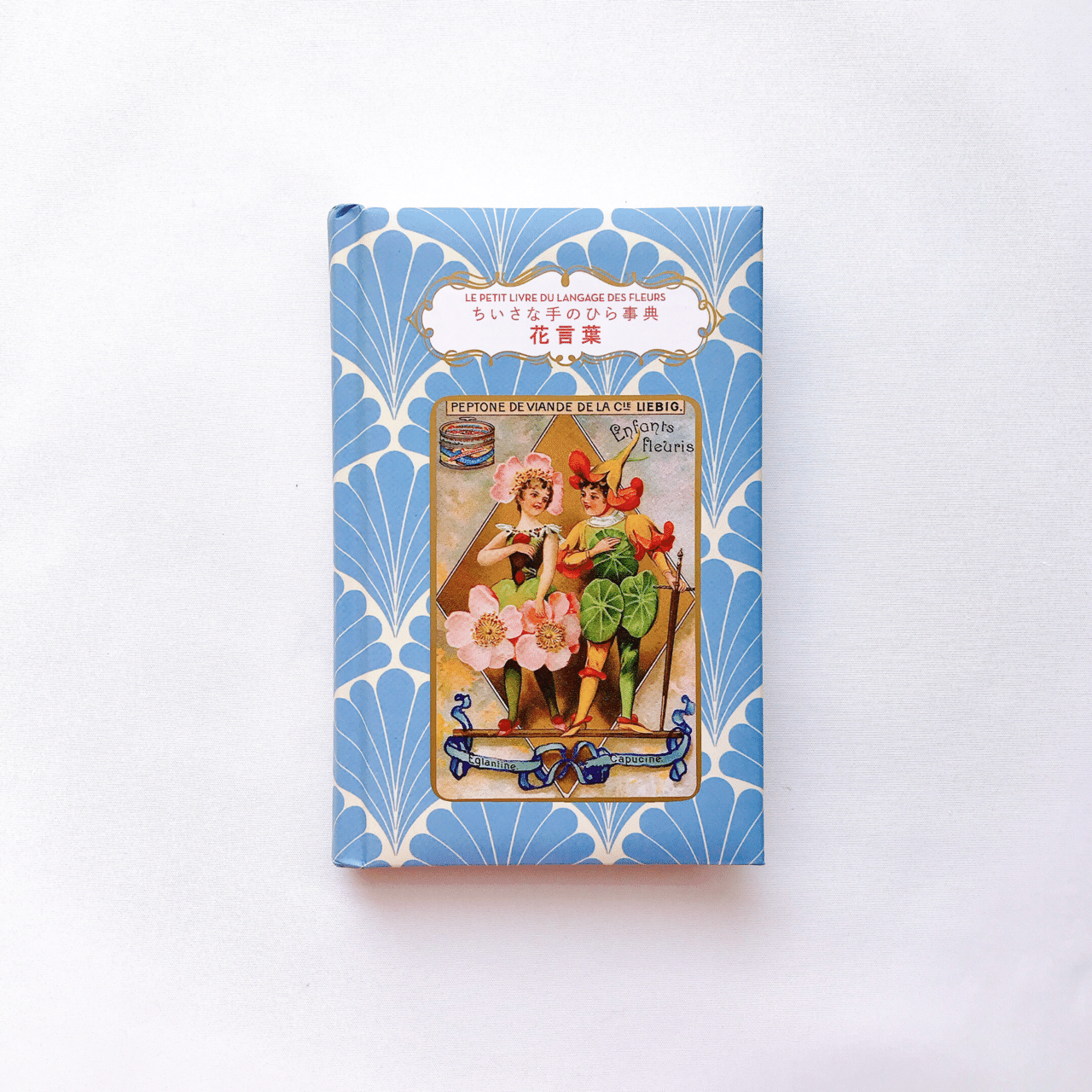読書人間📚『花言葉/ちいさな手のひら辞典』ナタリー・シャイン｜murata
