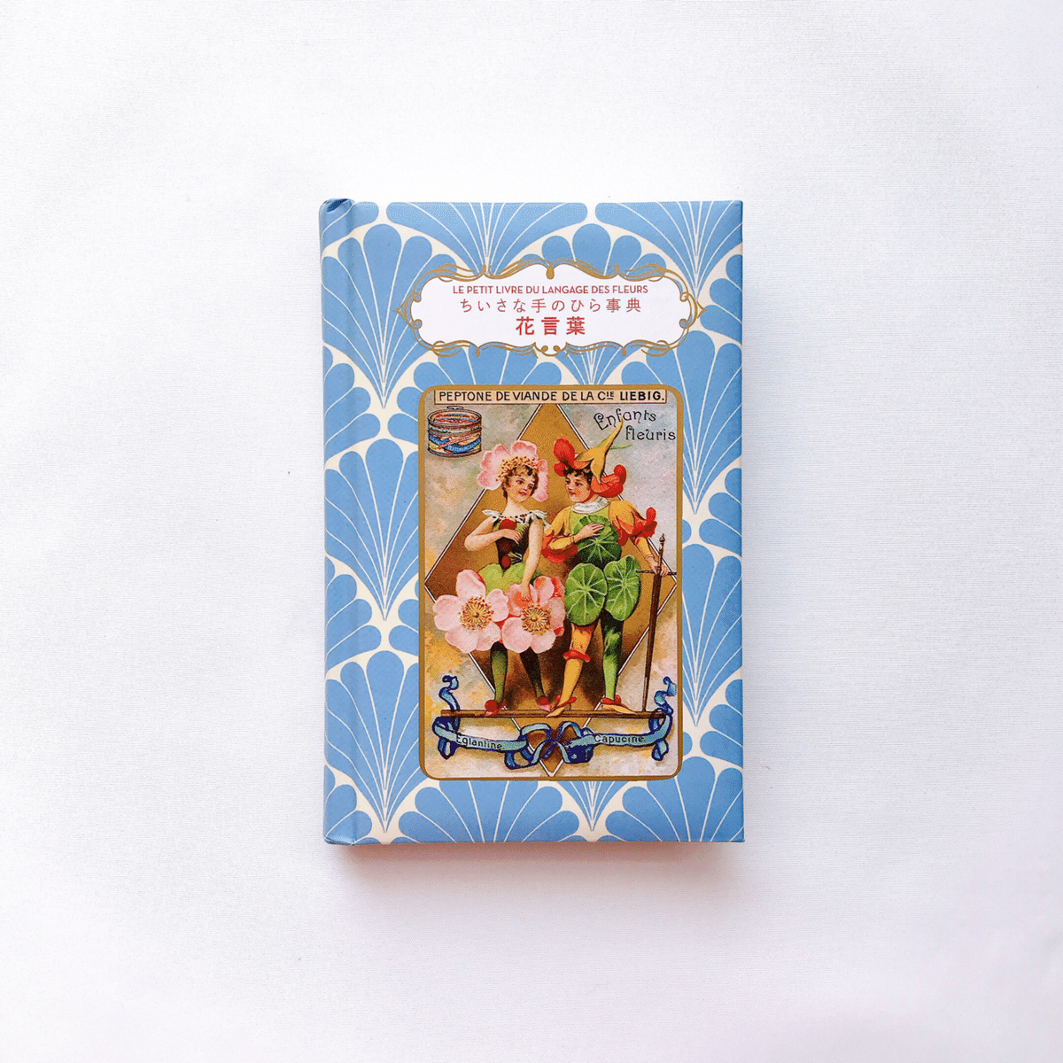 JūliusA486 ちいさな手のひら事典 花言葉 ジャンクジャーナル 花言葉 (ちいさな手のひら事典) | ナタリー・シャイン, ダコスタ