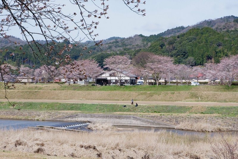 飯梨川沿い３