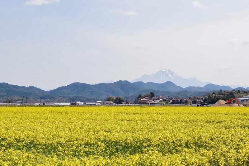 白鳥ロード近くからの大山