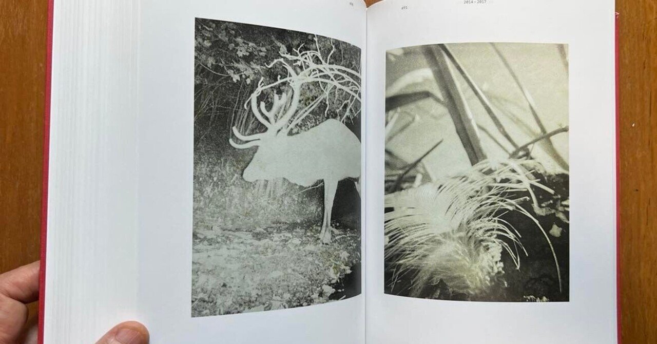 スティーブン・ギル 『COMING UP FOR AIR: STEPHEN GILL – A