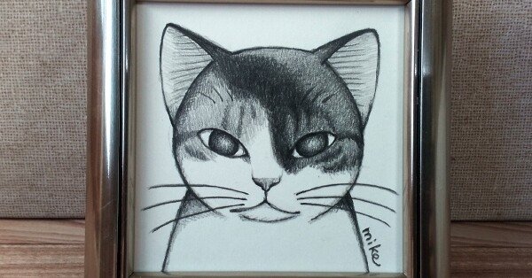 箱入り猫 鉛筆画 あなたの大切な猫の絵を鉛筆で描きます｜mikepunch
