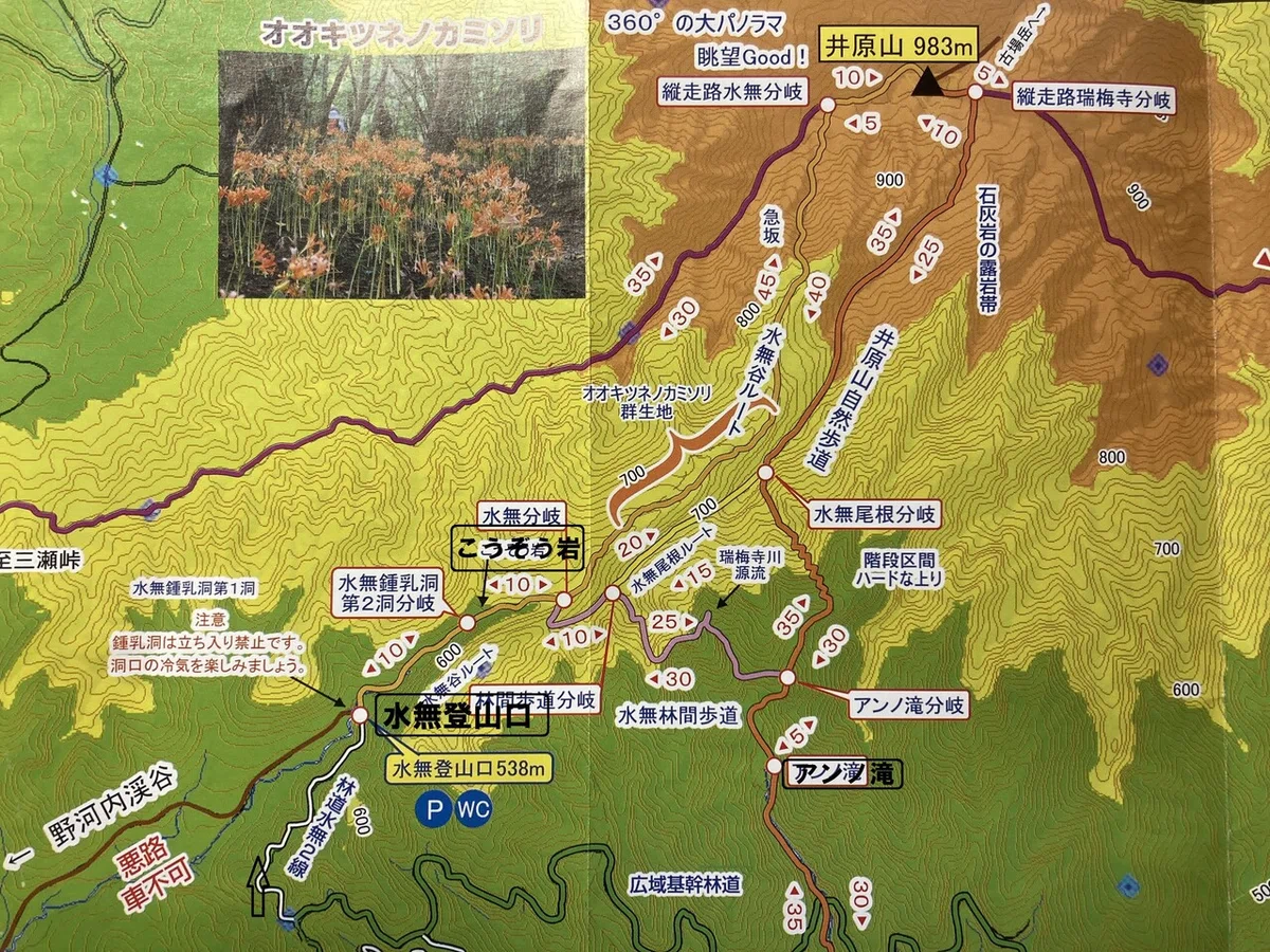 画像1