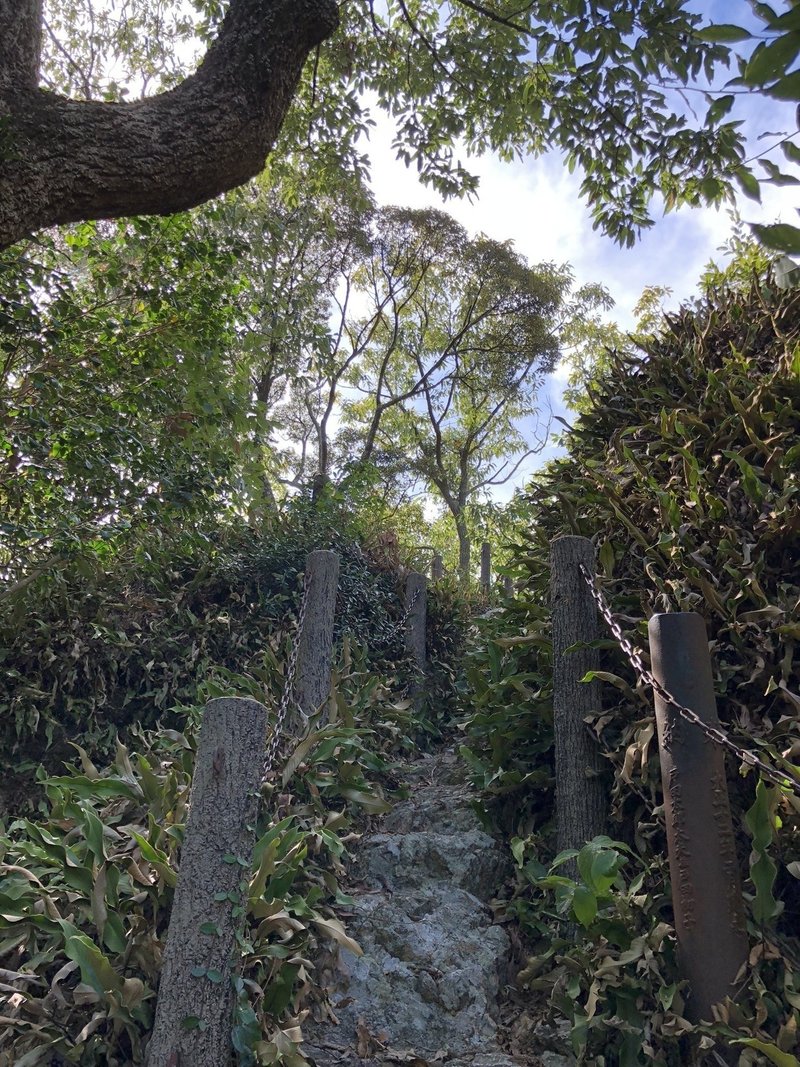 裏山の観音様 アフロ Note