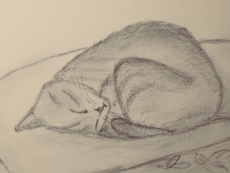 月曜日はなんだか眠いんだにゃ💤
#月曜日の朝 #うちねこ #台風20号発生 #mondaymorning #デッサン #クロッキー  #水彩色鉛筆画 #ねこ #猫大好き #cat #lovecats #febercastell #holbein #hmc #pastels #watercolors #drawing #tokyo #japan