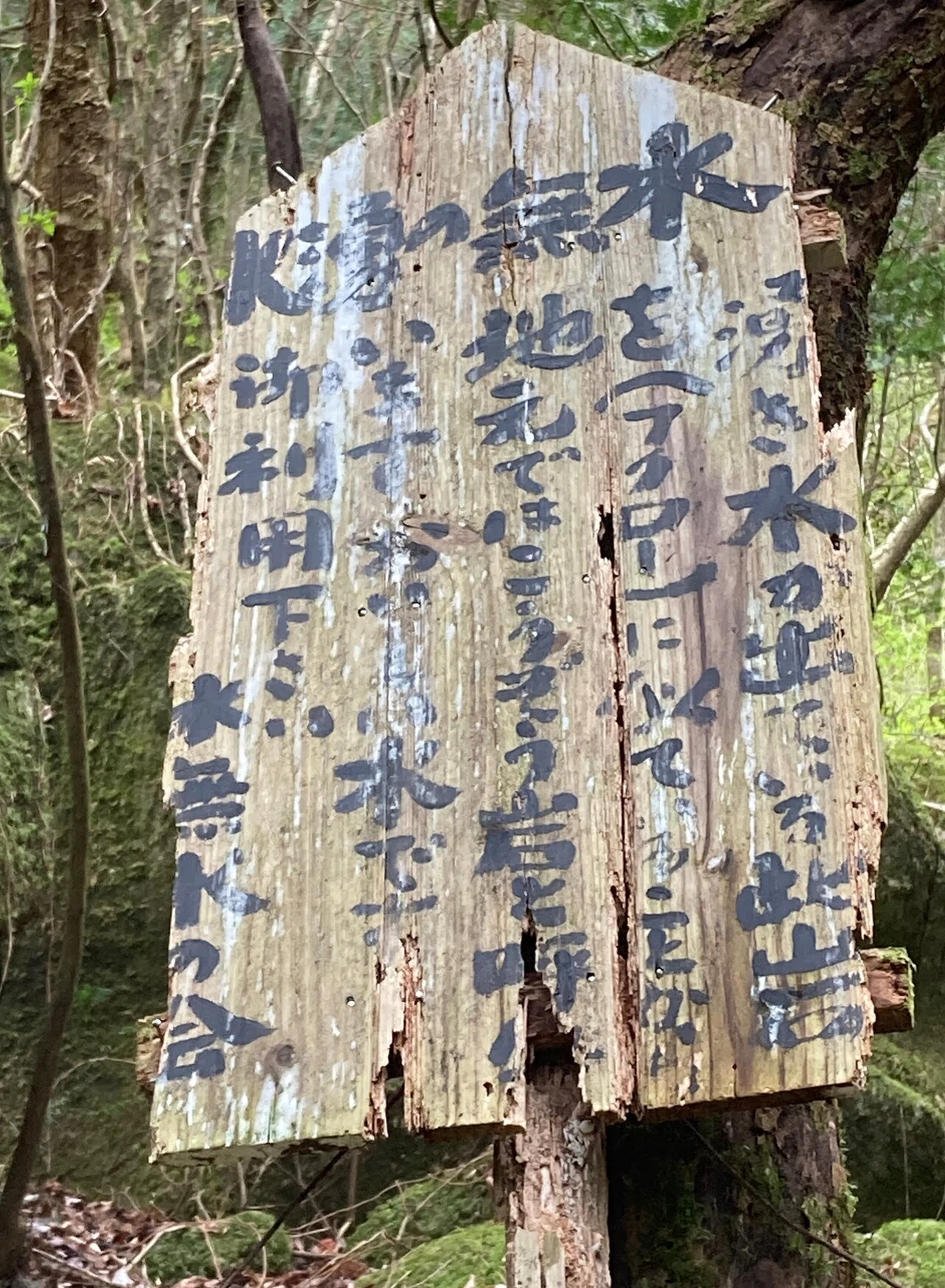 画像21