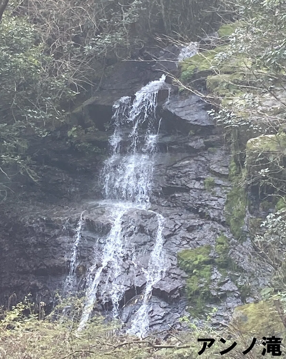 画像37