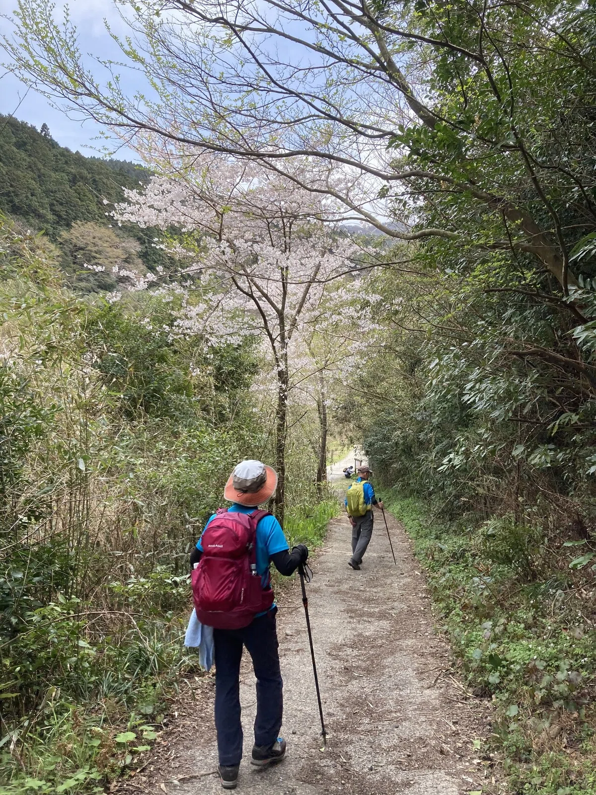 画像38